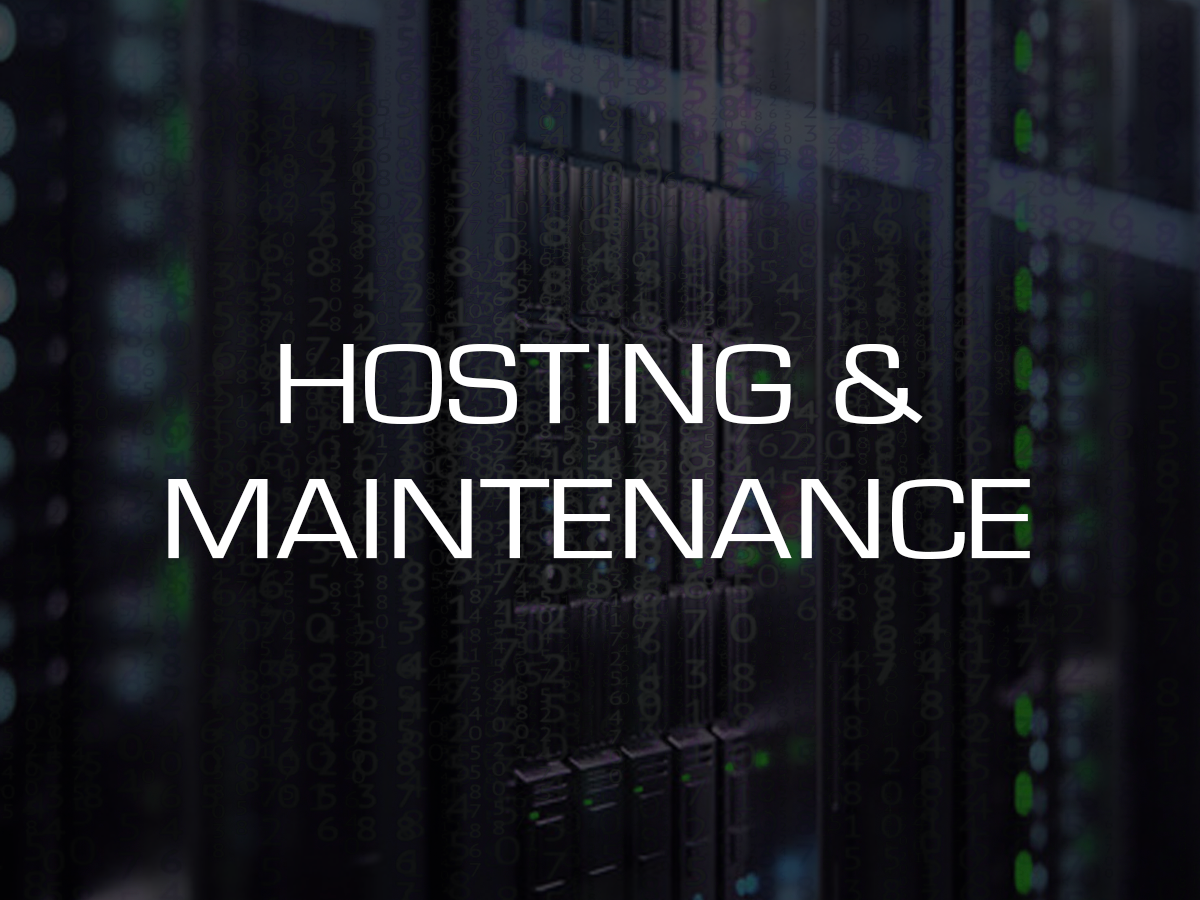 Website Hosting & Maintenance